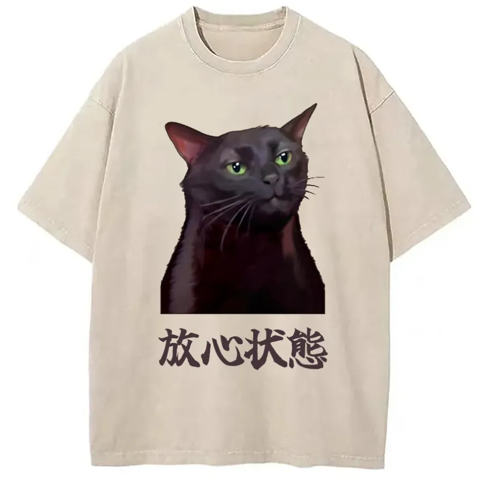 Chillteelab™ | Black Cat Zoning Out Meme Washed T-Shirt