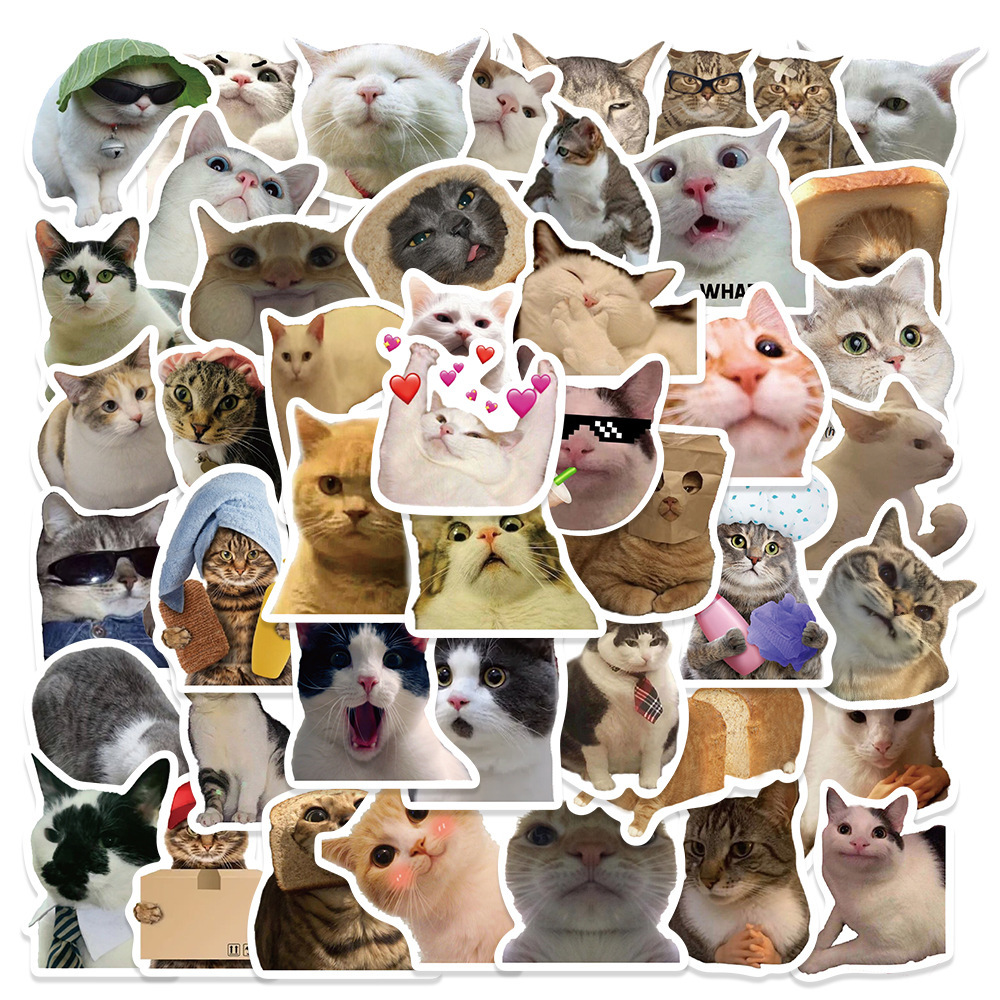 Funny Cartoon Cat Notebook Stickers 50 PCS