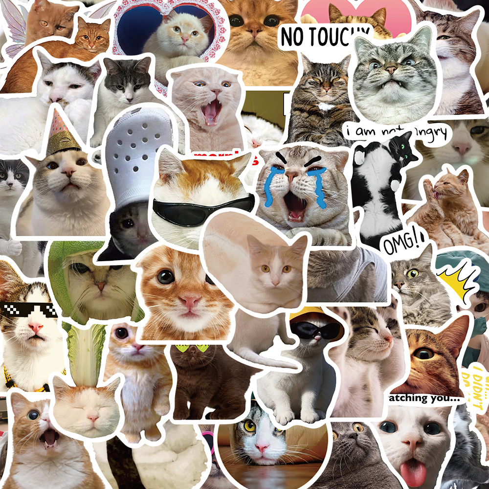 Viral Funny Cat Doodle Stickers 50 PCS