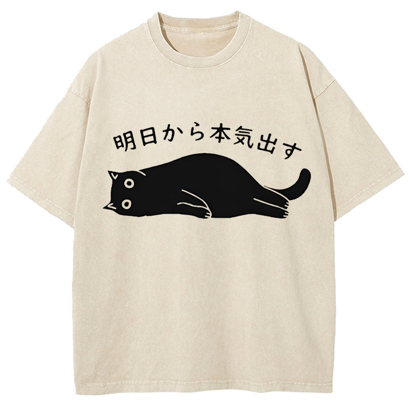 Cuddlefurry™ | Black Cat Get Serious from Tomorrow Onwards Washed T-Shirt
