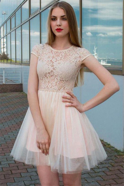 See Through Lace Champagne Tulle Lovely Sleeveless Short Evening Dresses