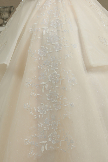 Elegant Off-the-Shoulder Tulle Lace Ball Gown Floor Length Graden Bridal Gown