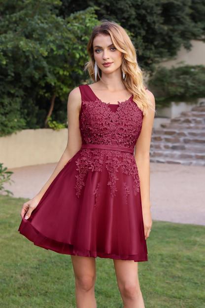 Chic Sleeveless Tulle Short Homecoming Dresses Lace Appliques Aline Mini Party Dress