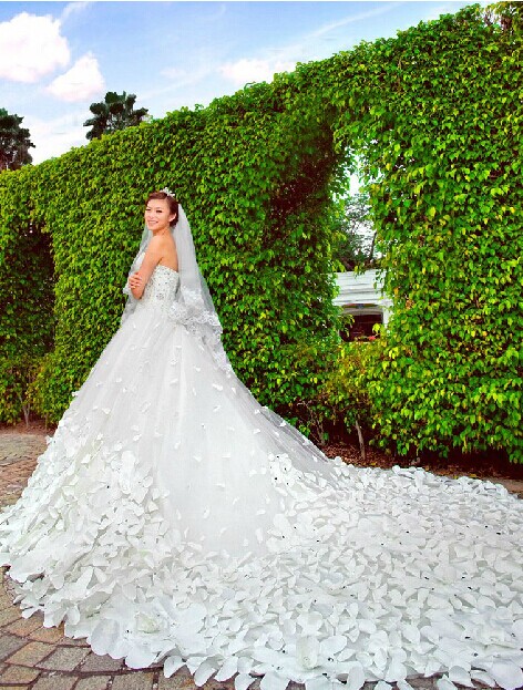 Elegant Appliques Cystals Princess Wedding Dress Sweetheart With Long Train