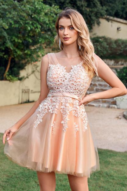 Chic Sleeveless Tulle Short Homecoming Dresses Lace Appliques Aline Mini Party Dress