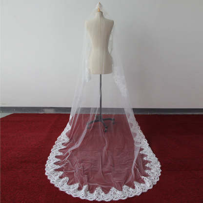 Beautiful Lace Applique Tulle Edge Wedding Veils