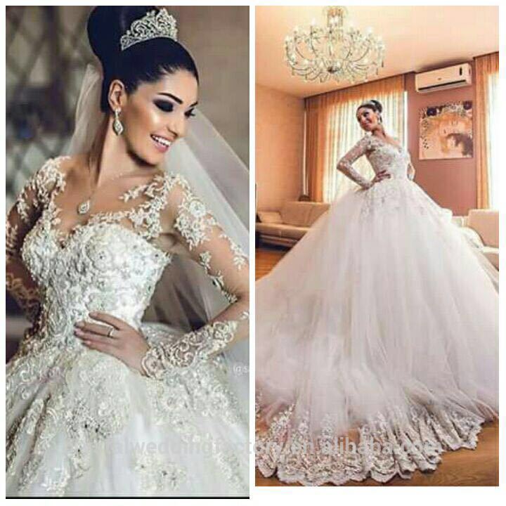 Delicate Lace Appliques Ball Gown Wedding Dress Long Sleeve Tulle