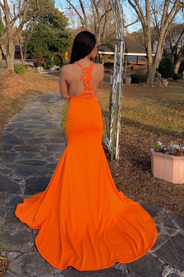 See Through Appliques Slit Mermaid Ginger Evening Dresses