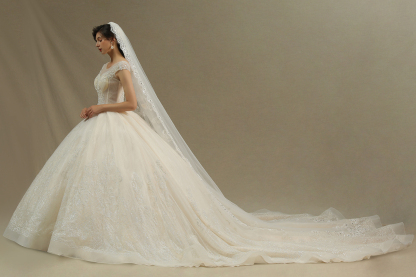 Cap Sleeve Aline Cathedral wedding dress Tulle Lace Appliques Garden Bridal Gown