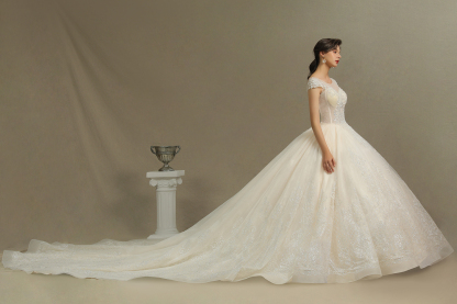 Cap Sleeve Aline Cathedral wedding dress Tulle Lace Appliques Garden Bridal Gown