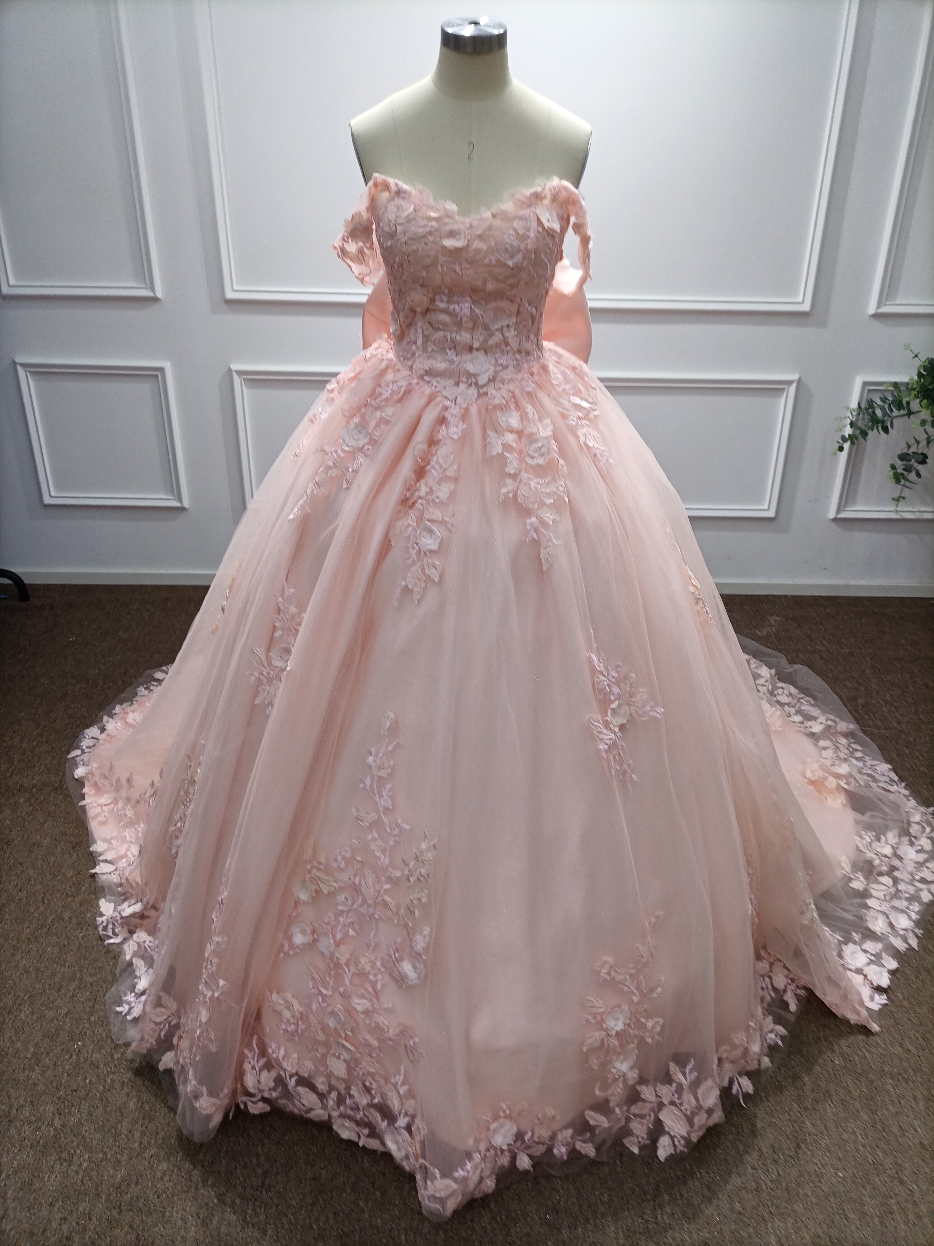 Off-the-Shoulder Tulle A-Line Evening Dresses with Applique