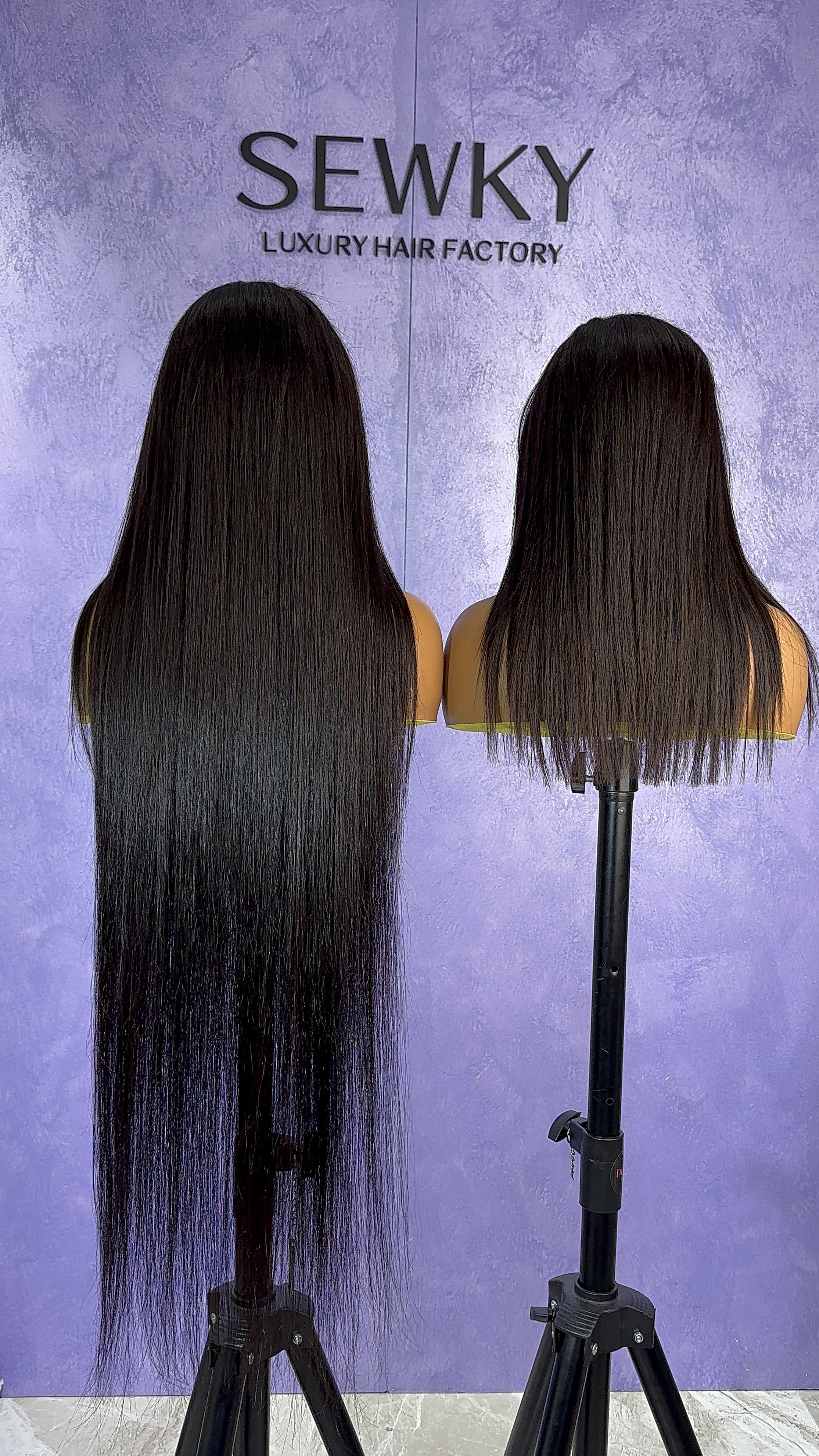 Raw Hair Straight Lace Frontal Wigs Glueless Human Hair Wigs Pre Plucked HD 13x6 13x4 200% Density Wig