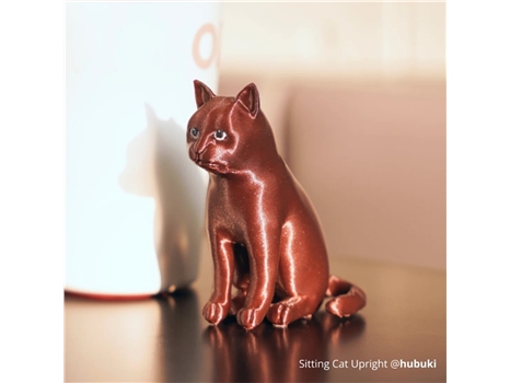 Bambu Lab PLA Galaxy - Brown