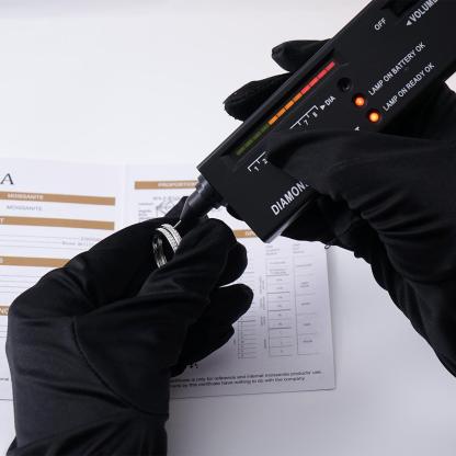 Bling Hoop Earrings Unisex Earrings S925 VVS Synthetic Moissanite