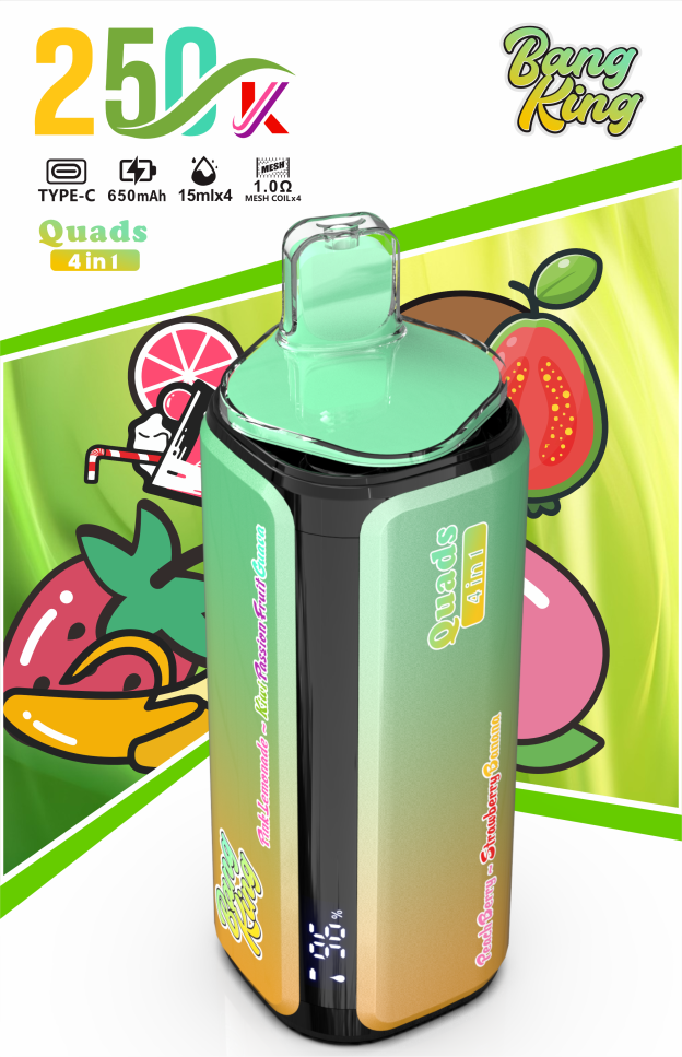 Bang King 250K Disposable Vape – 4-in-1 Taste selection System Rechargeable