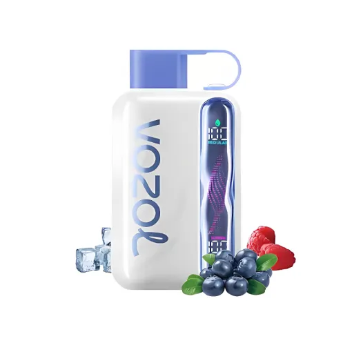 Vozol Star 40000 Puffs disposable vape