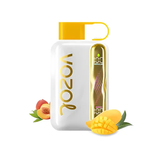 Vozol Star 40000 Puffs disposable vape