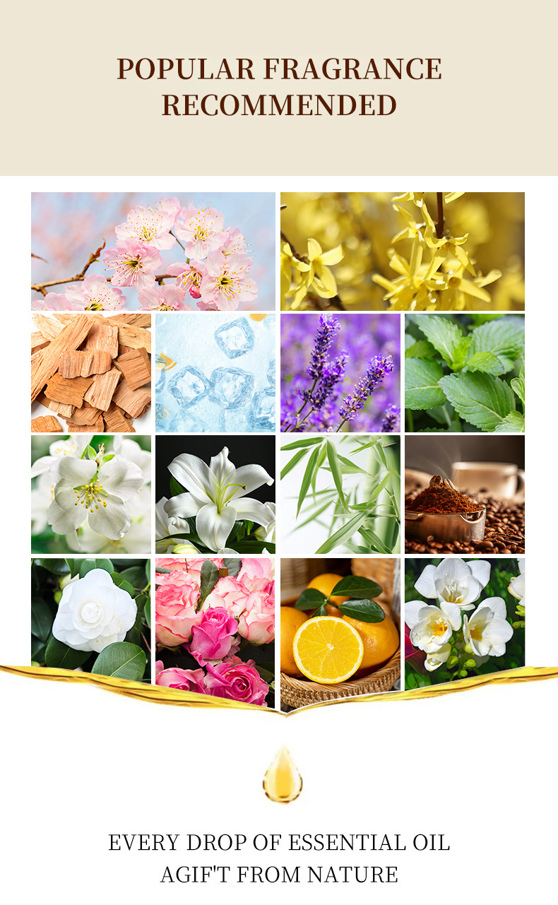 Natural essential oil set