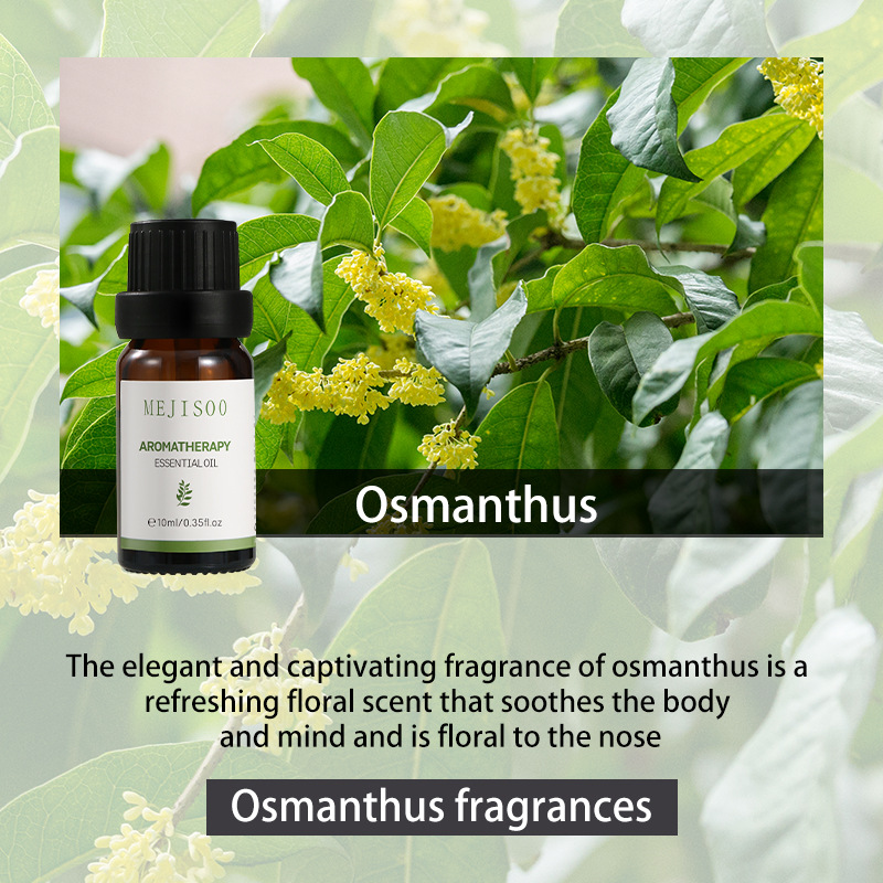 70 kinds of 10ml 2025 pure aromatherapy essential oils for home diffusers