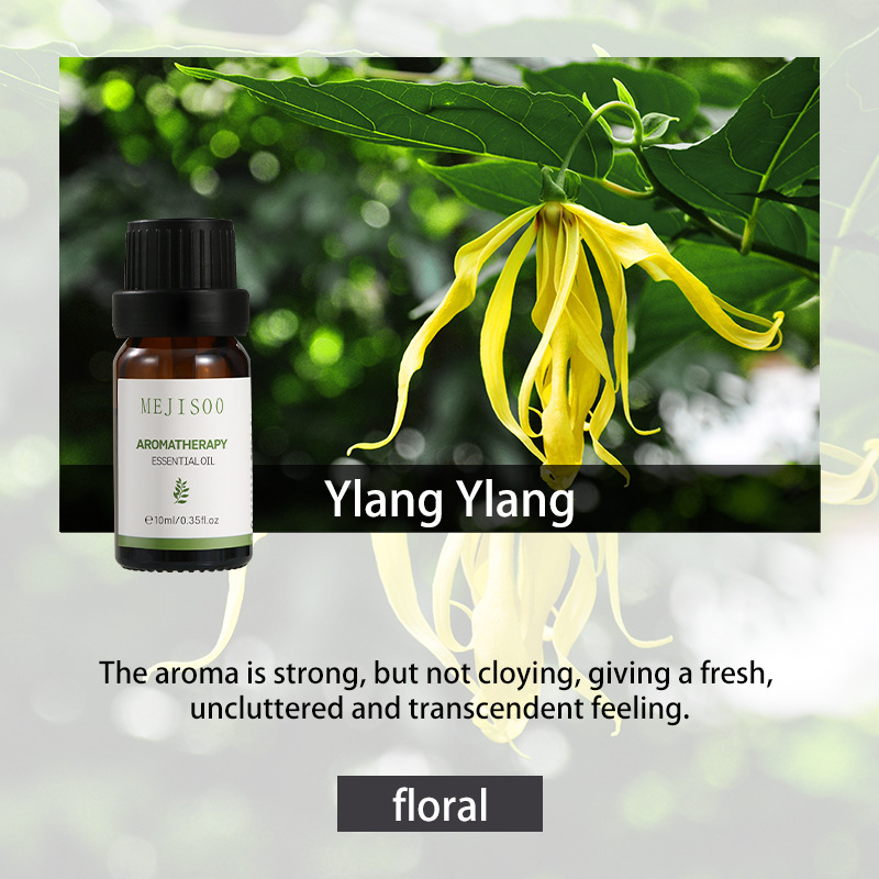 70 kinds of 10ml 2025 pure aromatherapy essential oils for home diffusers