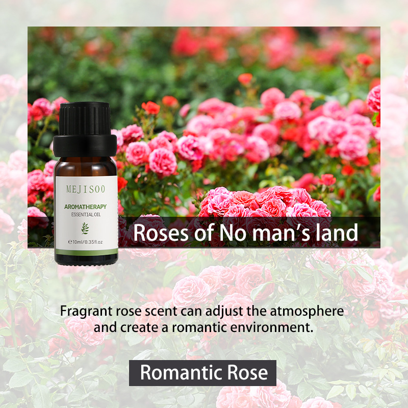 70 kinds of 10ml 2025 pure aromatherapy essential oils for home diffusers