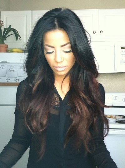 Black Hair with Brown Ombre Lace Front Wig