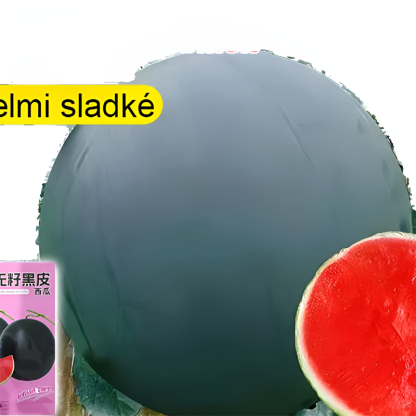 Vysoce výnosná semena vodního melounu bez pecky s černou slupkou