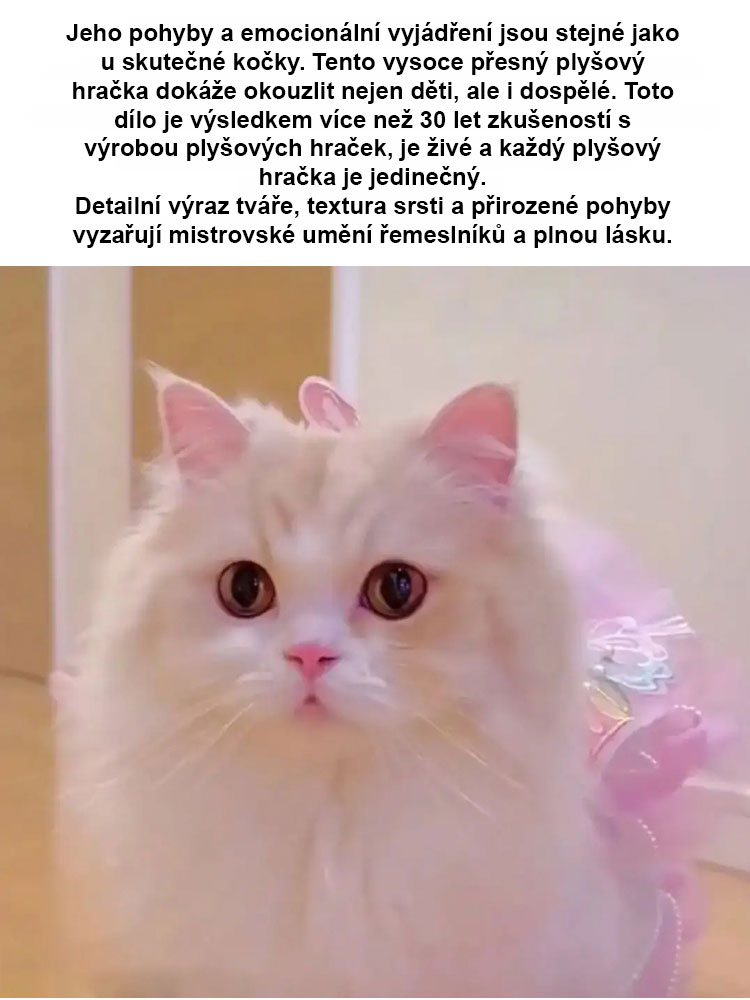 Elektronické kotě