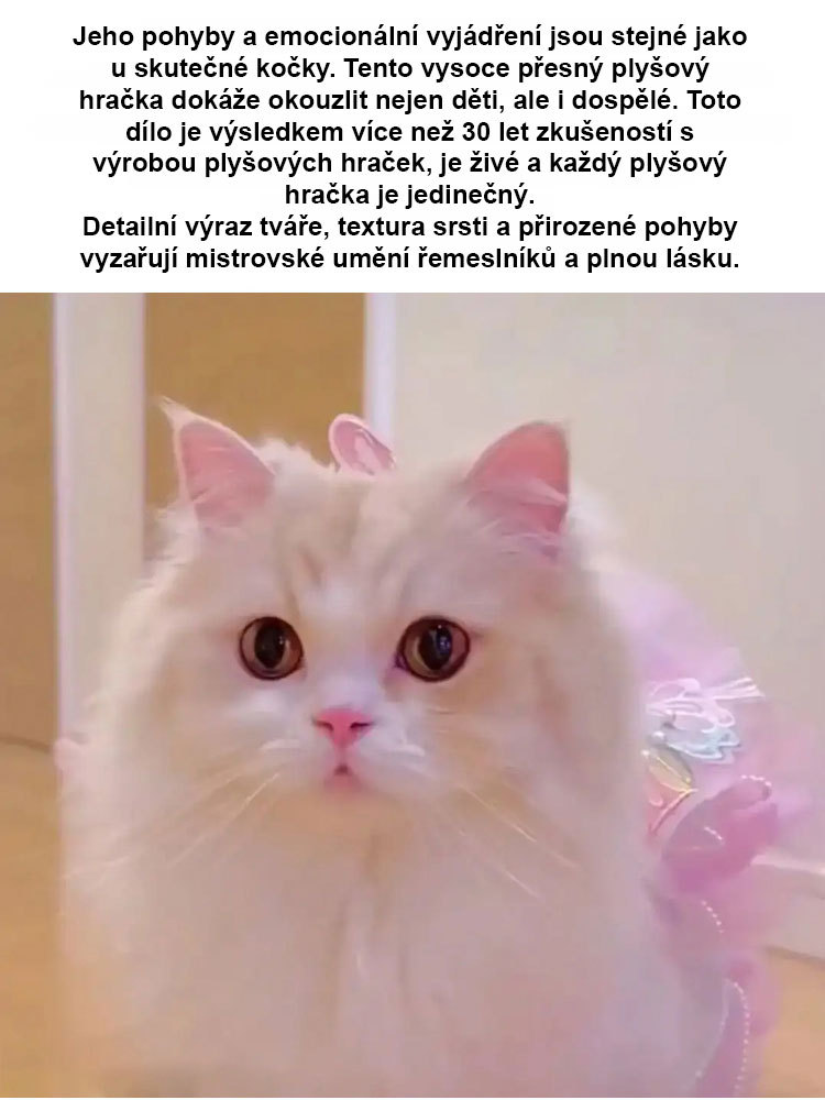 Elektronické kotě