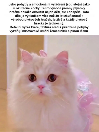 Elektronické kotě