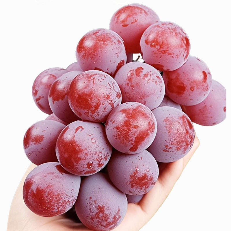 【S vůní vína】Semena hroznů královny Niny