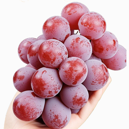 【S vůní vína】Semena hroznů královny Niny