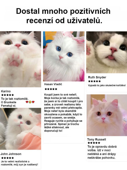Elektronické kotě