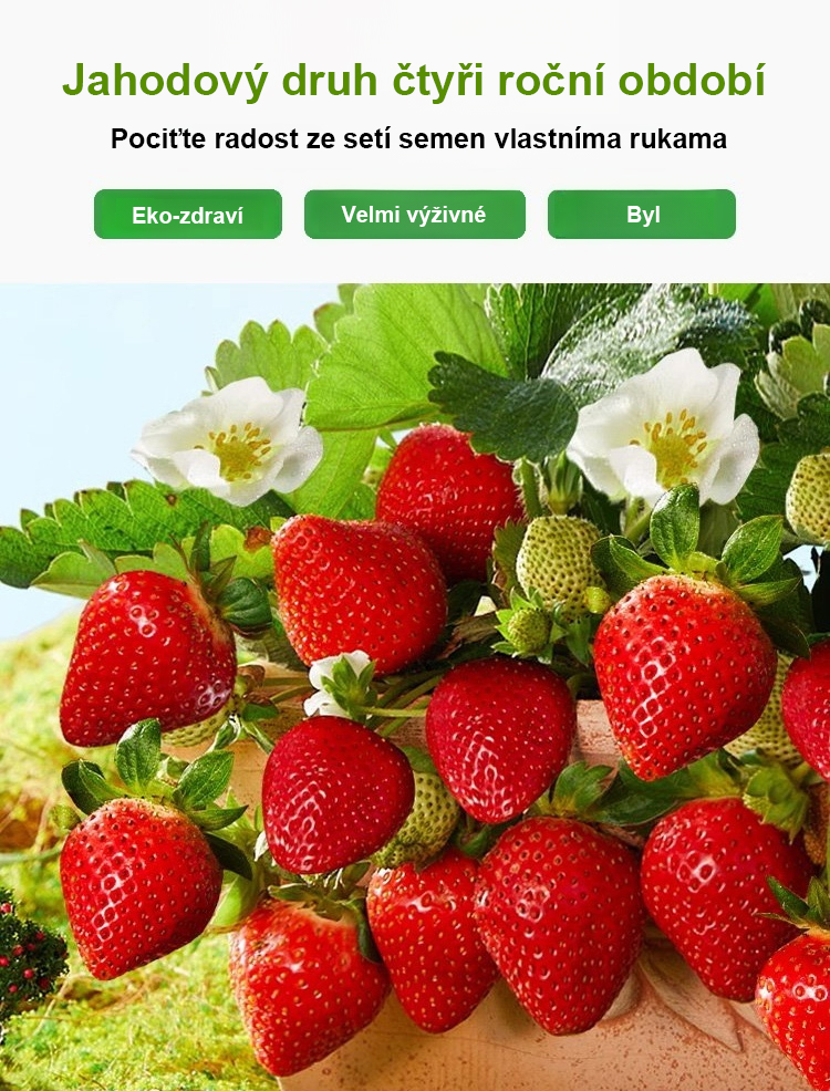 1174930_04.jpg
