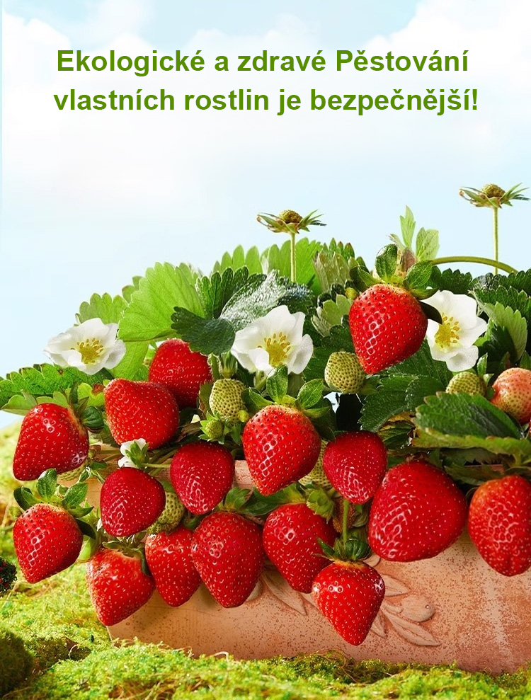 1174930_02.jpg