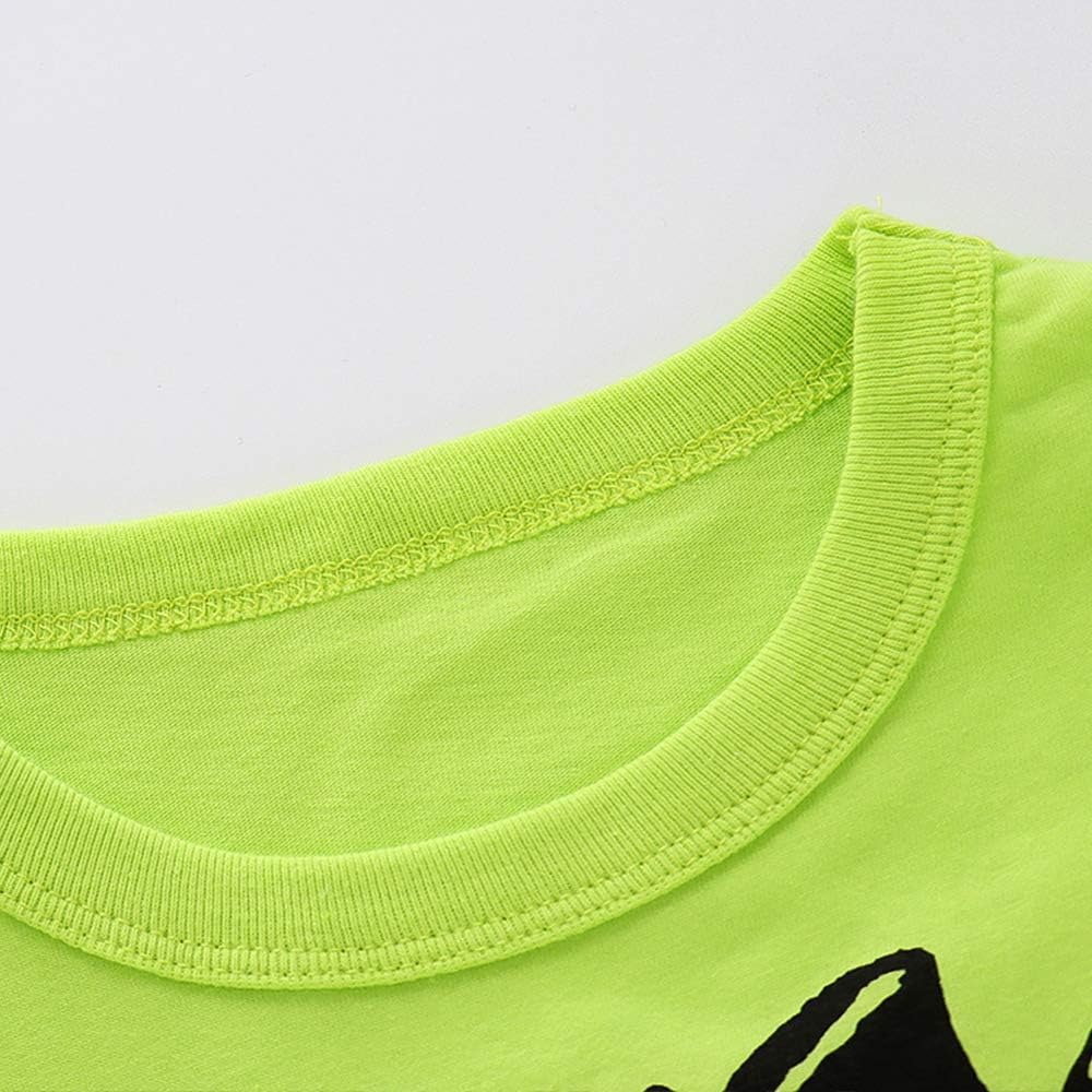 2pcs Toddler Boys Cartoon Cotton Summer Short Sleeve T-Shirt and Shorts