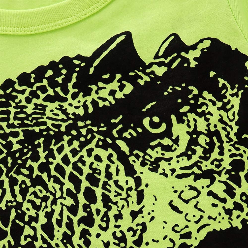 2pcs Toddler Boys Cartoon Cotton Summer Short Sleeve T-Shirt and Shorts