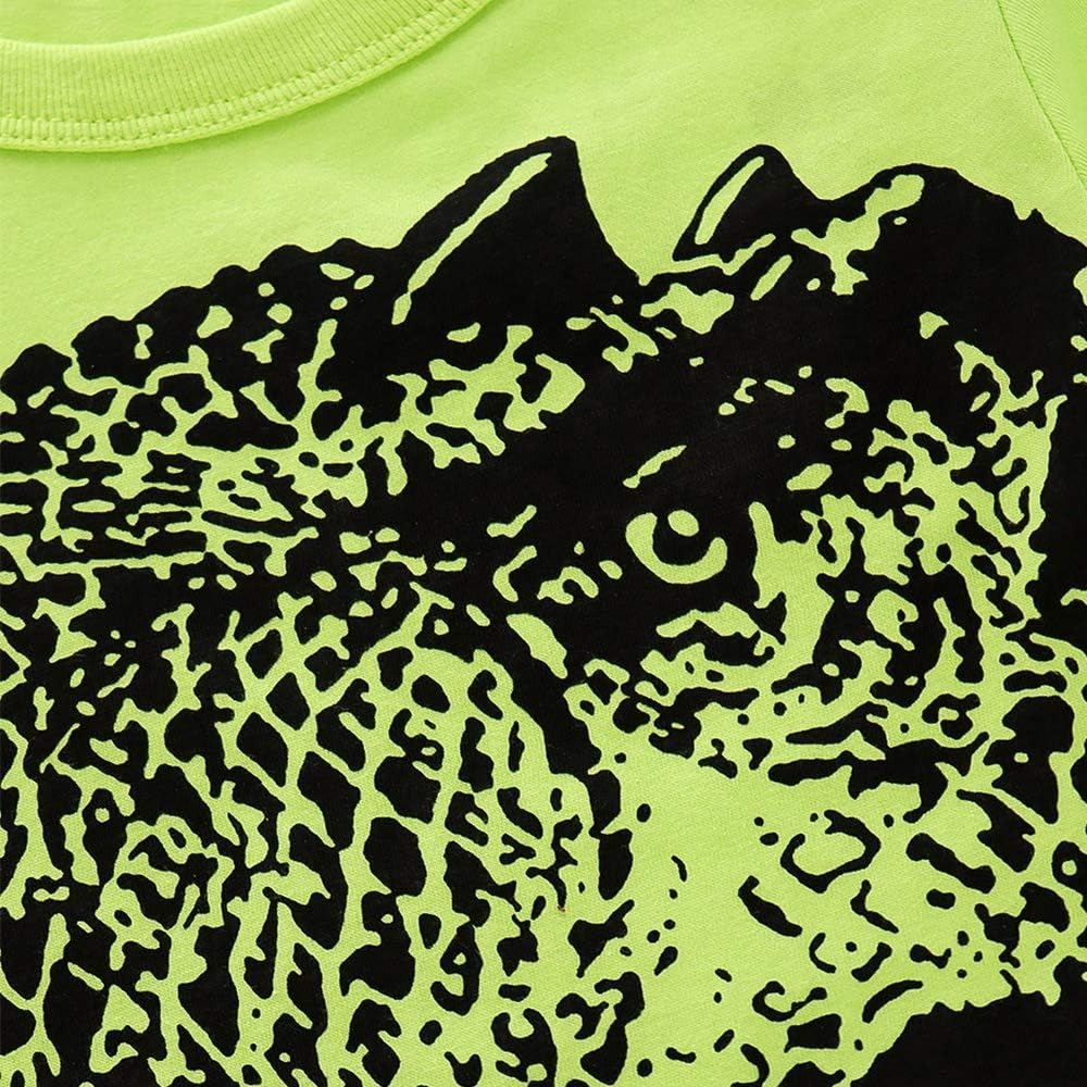 2pcs Toddler Boys Cartoon Cotton Summer Short Sleeve T-Shirt and Shorts