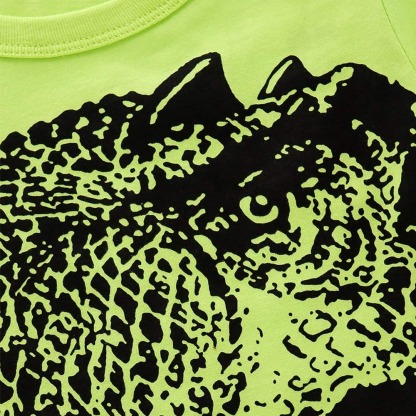 2pcs Toddler Boys Cartoon Cotton Summer Short Sleeve T-Shirt and Shorts