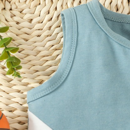 2pcs Toddler Boys Sleeveless Patchwork Top & Swim Trunks