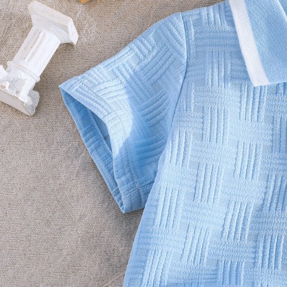 2pcs Baby Boys Embroidered Pony Short-Sleeve Top & Versatile Solid Shorts