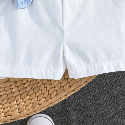 2pcs Baby Boys Embroidered Pony Short-Sleeve Top & Versatile Solid Shorts