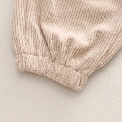 2pcs Toddler Boys 3D Embroidered Bear Long-Sleeve Shirt & Pants