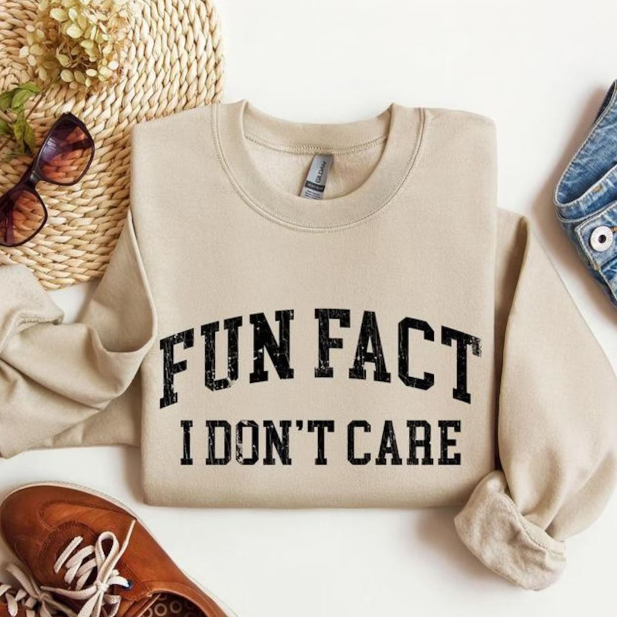 Fun Fact I Don't Care Sweatshirt 