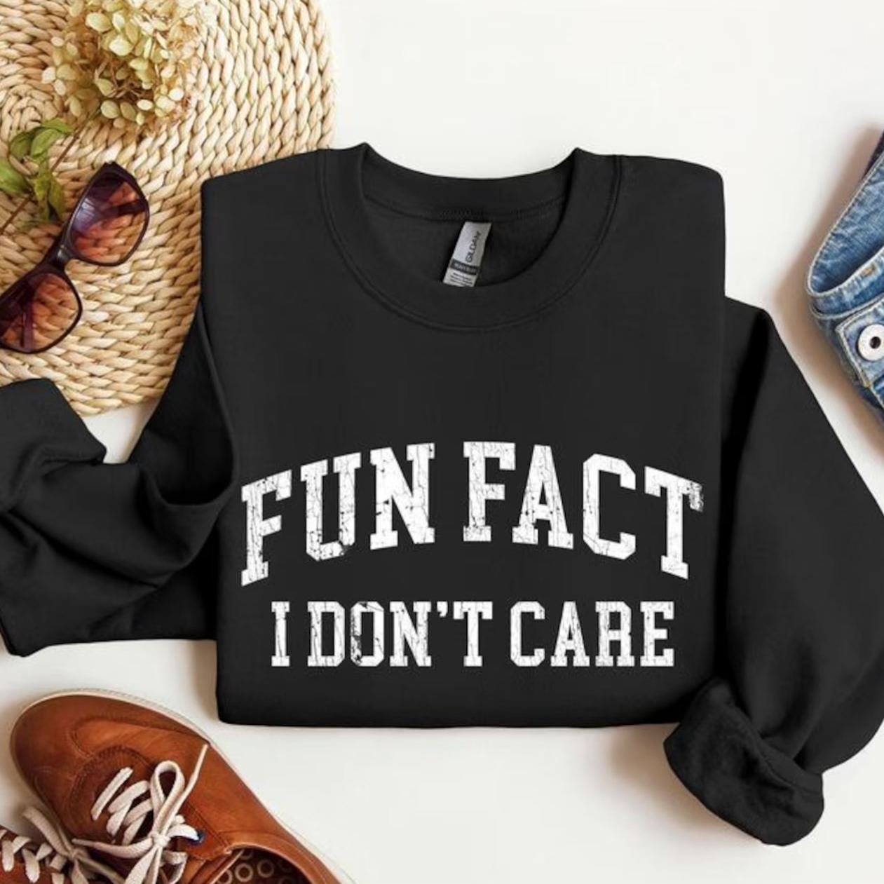 Fun Fact I Don't Care Sweatshirt 