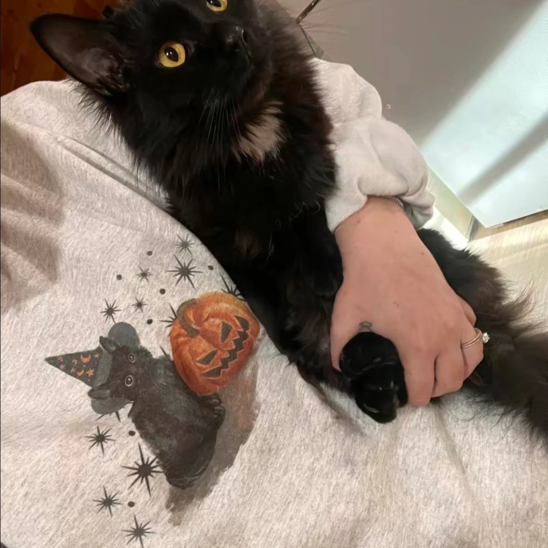 Vintage Halloween Sweatshirt