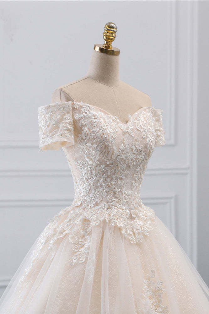 Princess Off-the-Shoulder Tulle Wedding Dress with Lace Appliques