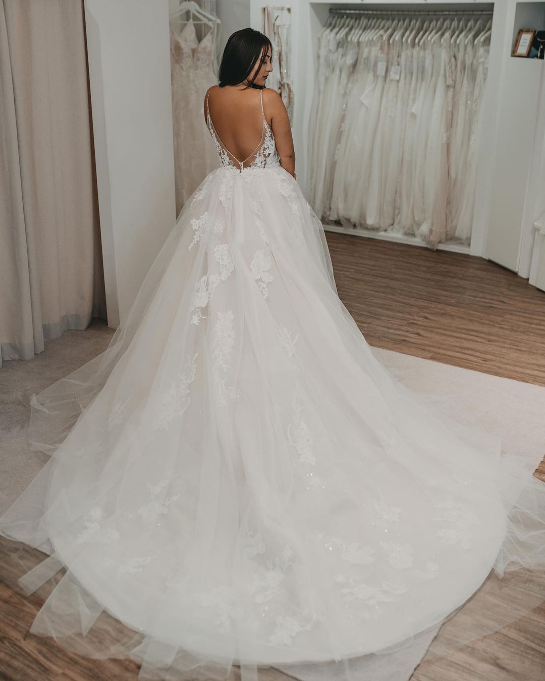Elegant Long A-Line V-Neck Wedding Dress with Open Back and Tulle