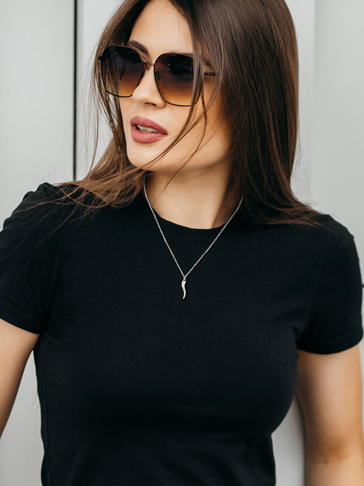 Cornicello Necklace Italian Horn Pendant in Stainless