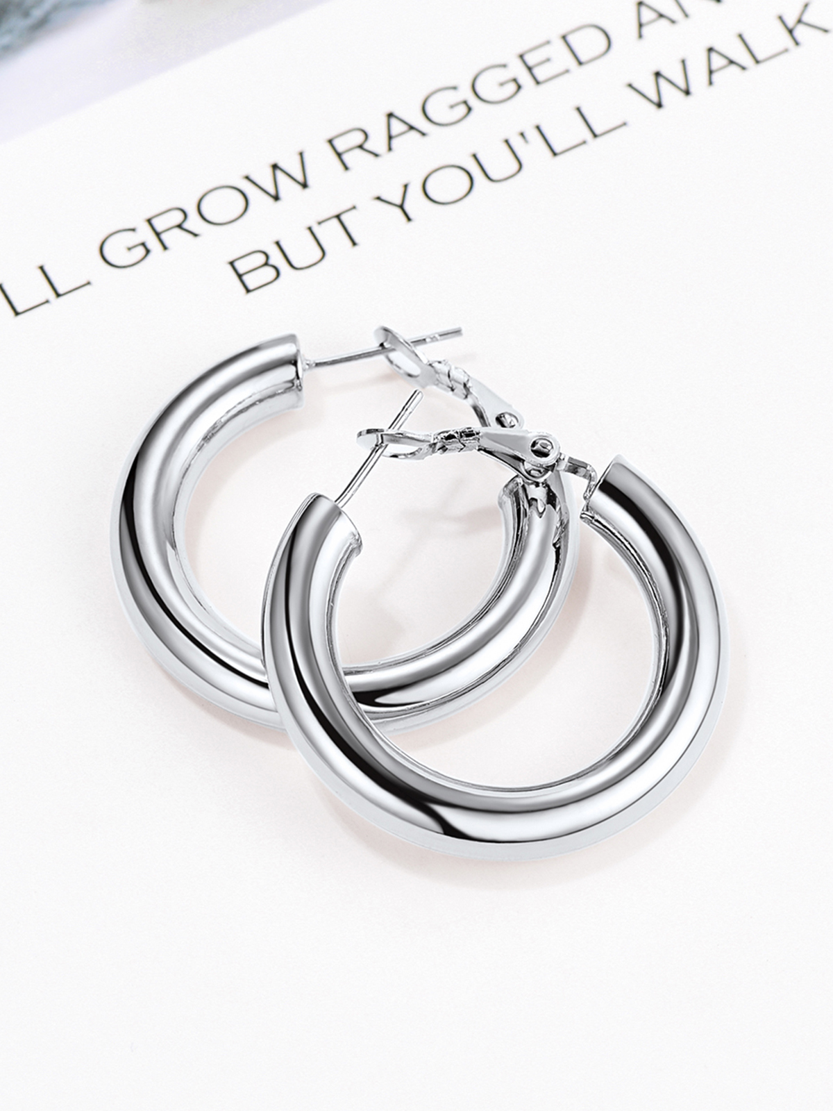 Chunky Hoop Earrings in Stainless